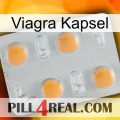 Viagra Capsule 24